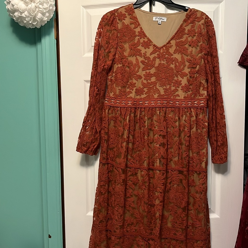 Polagram rust lace dress - Picture 4 of 5